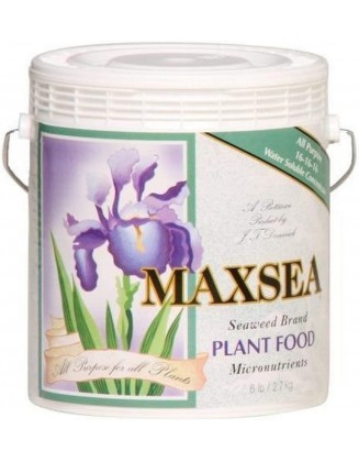 Maxsea HGC722255 All Purpose 16-16-16 Hydroponic Nutrient Fertilizer, 6 lb, Brown/A