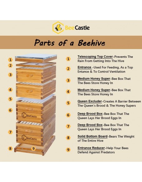 Bee Hive 8 Frame Complete Bee Hives and Supplies Starter Kit, Beeswax Coated Beehives for Beginners with Bee Hive Frame and Waxed Foundation Include 2 Deep Hive Box and 2 Medium Bee Hive Super