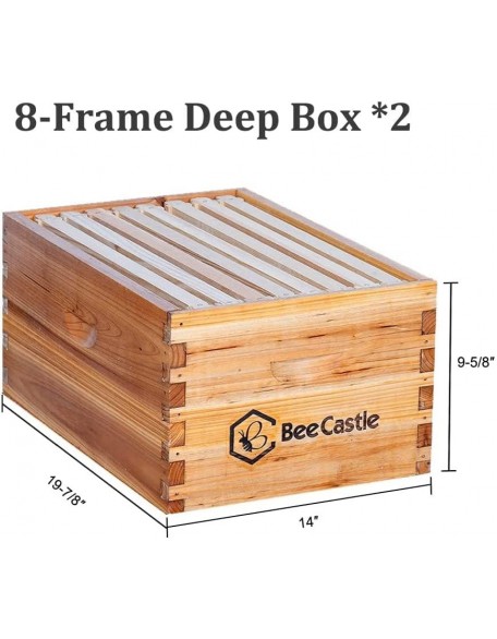 Bee Hive 8 Frame Complete Bee Hives and Supplies Starter Kit, Beeswax Coated Beehives for Beginners with Bee Hive Frame and Waxed Foundation Include 2 Deep Hive Box and 2 Medium Bee Hive Super