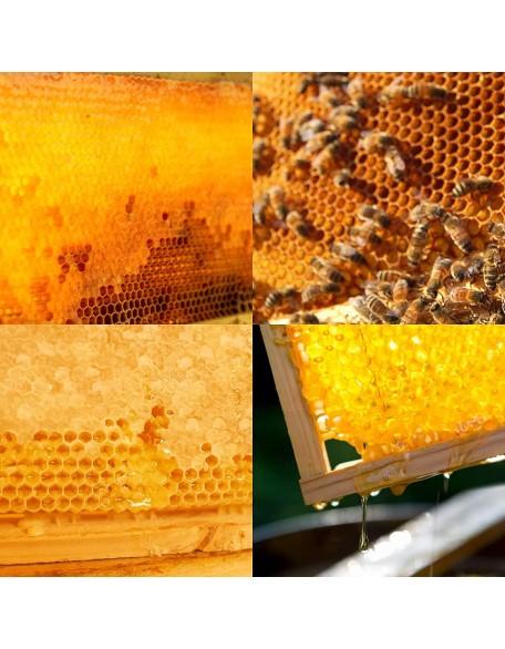 Bee Hive Complete Beehive Kit, Daxiga 10 Frame Beeswax Coated Bee Hive Includes Frames and Beeswax Coated Foundation Sheet (2 Layer)