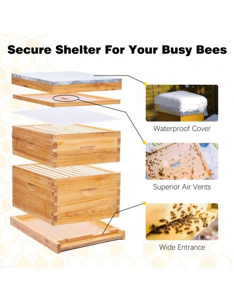 8 Frame Bee Hive Complete Beehive Kit,Honey Bee Hives Includes 1 Deep Bee Boxes, 1 Bee Hive Super with Beehive Frames and Foundation